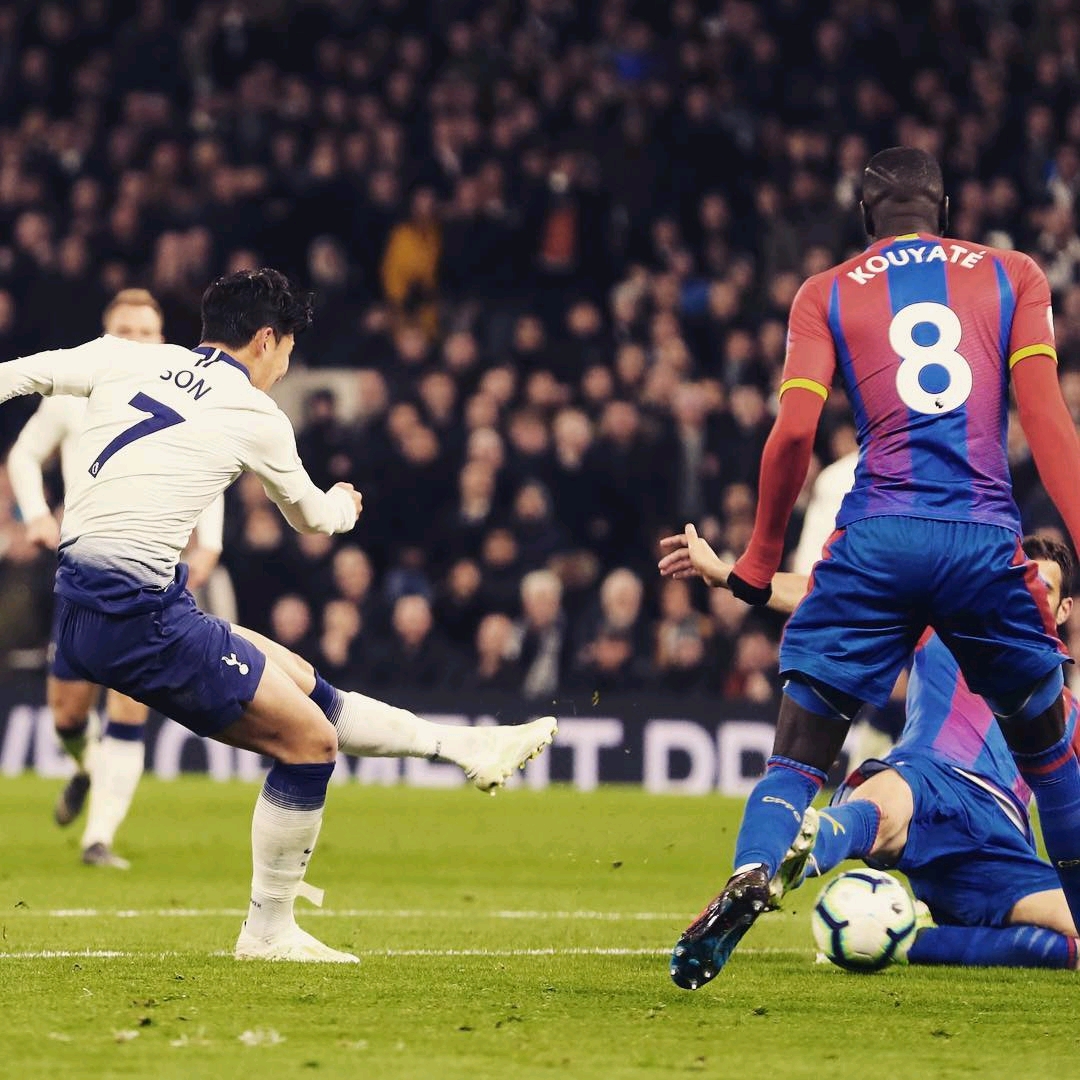 50吨植物油精炼设备