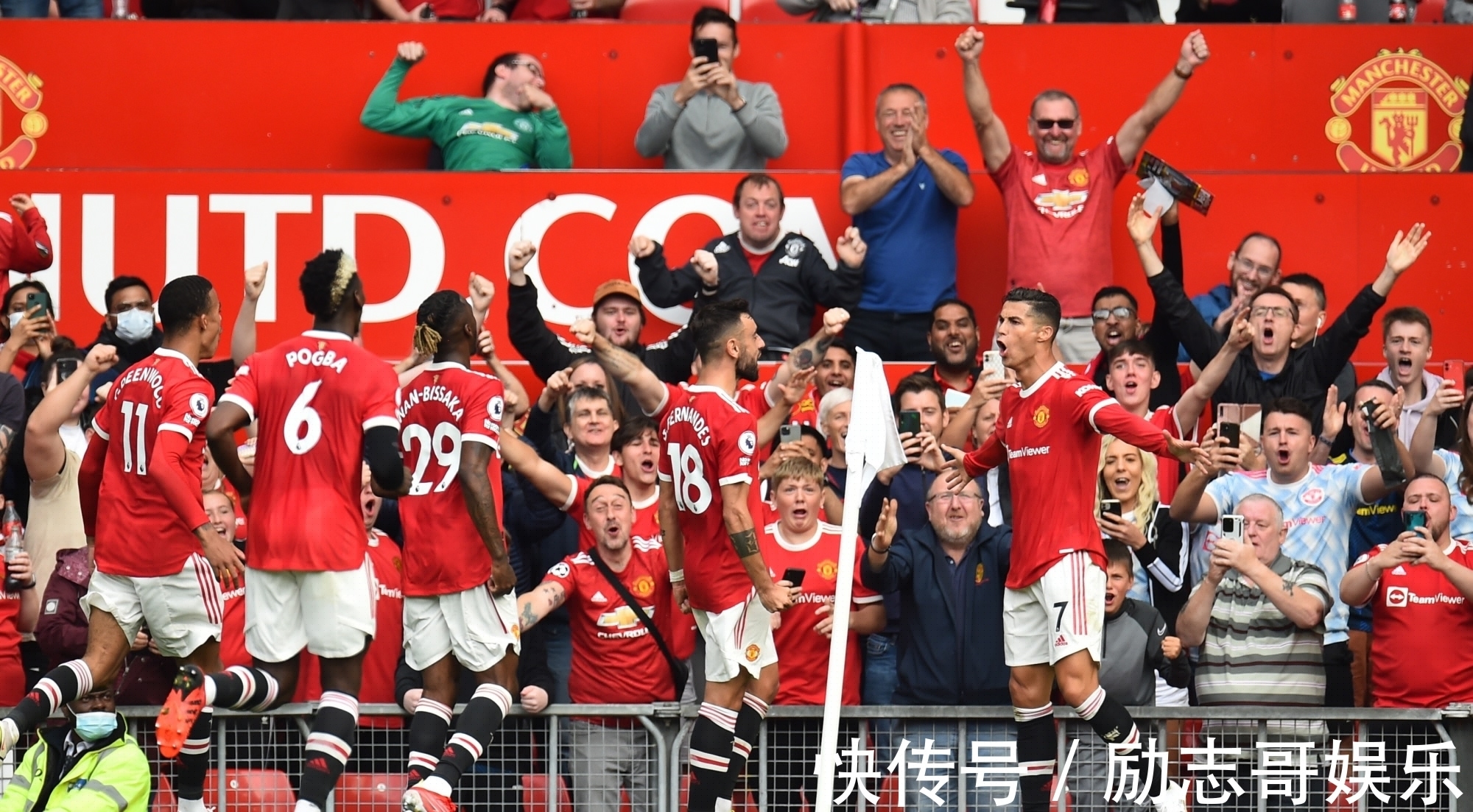 影响油脂吸附脱色的因素