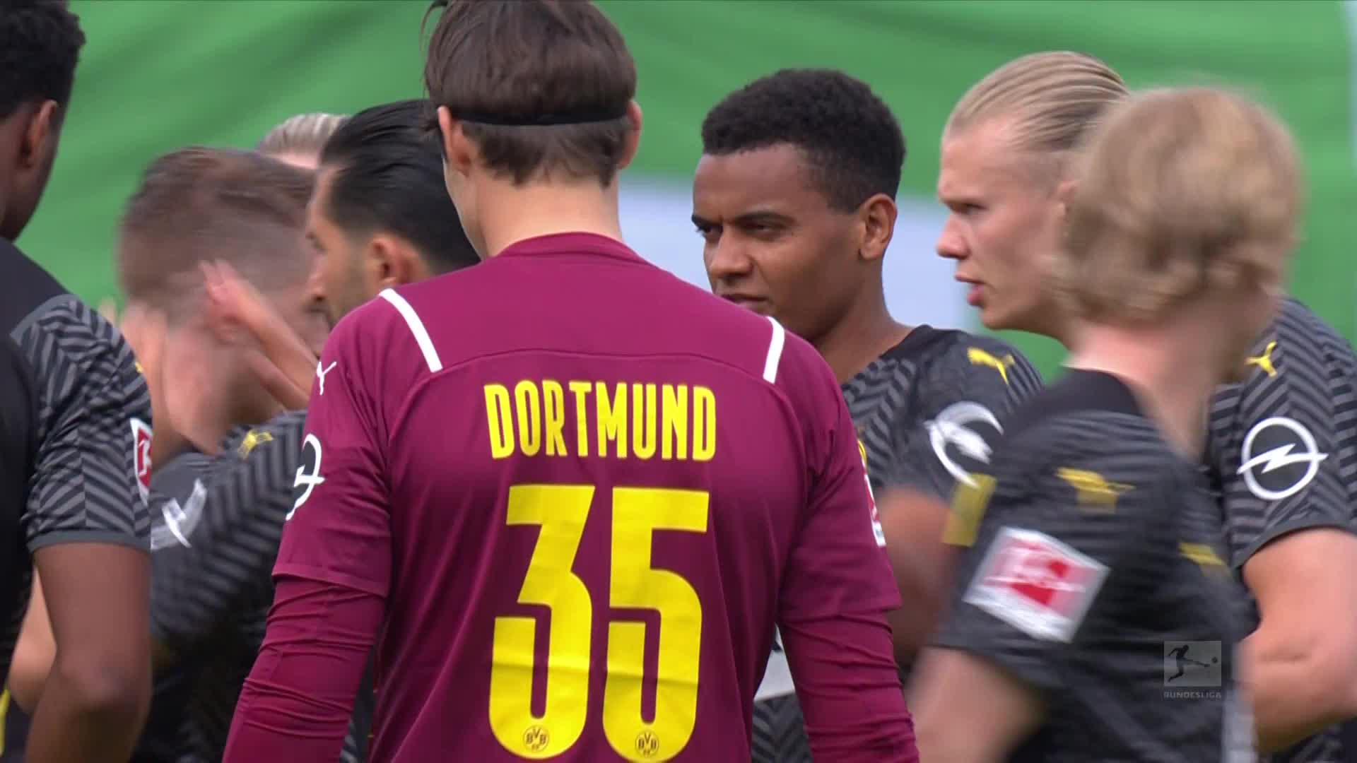 动物油精炼设备